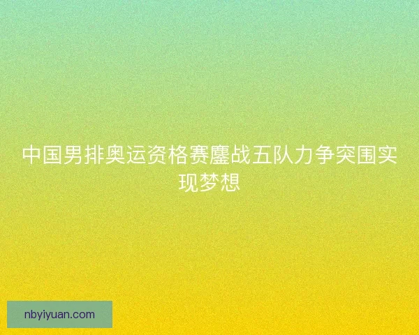 中国男排奥运资格赛鏖战五队力争突围实现梦想